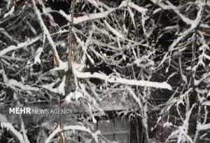 شمال و شرق تهران سفیدپوش شد