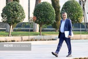 معاون اجرائی رئیس جمهور وارد شهریار شد