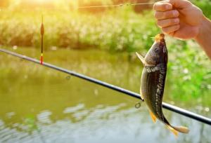 آغاز صدور پروانه صید ماهی با قلاب در  همدان