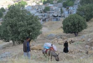 راه‌یابی مستندسازان چهارمحال و بختیاری به بخش مسابقه ملی سینماحقیقت