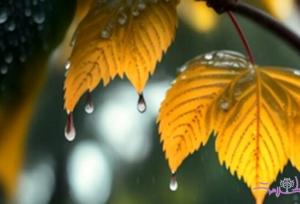 بارش ۳ میلیمتری باران در شیرین‌سو/ افزایش غلظت آلاینده‌ها در همدان