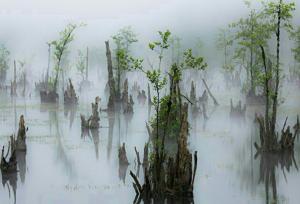 جاهای باورنکردنی ایران که فقط در فیلم‌ها دیده‌اید!