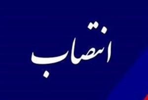 «مهدی جمالی» سرپرست دبیرخانه هیأت مرکزی گزینش وزارت کار شد