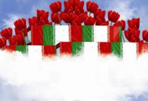 پدر شهید جعفر مالمیر به فرزند  شهیدش پیوست