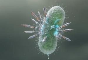 چارچوب‌های آلی فلزی با «خنجرهای مولکولی» باکتری‌ها را سوراخ می‌کنند