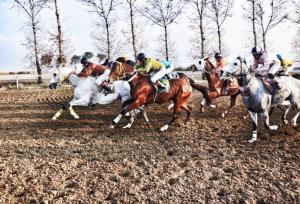 فینال روز دوم کورس گنبدکاووس با جوایز ۳۰ میلیاردی