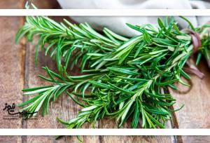 آیا رزماری واقعاً جای زخم را از بین می‌برد؟