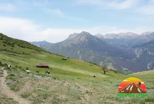 اقدام قاطع منابع طبیعی سوادکوه علیه تصرف اراضی ملی در مرتع اونسیه