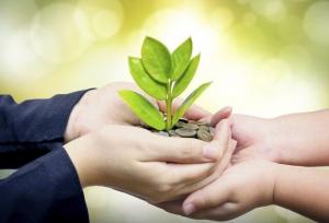 برگ بی‌برگی