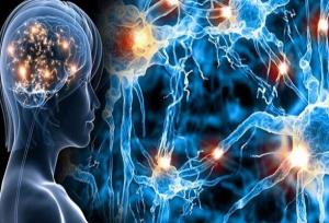 یائسگی بر پیشروی بیماری ام‌اس تأثیری ندارد