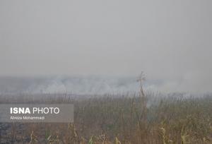 لزوم در اولویت قرار گرفتن وضعیت آتش‌سوزی تالاب هورالعظیم در دولت