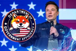 دولت یا شرکت تجاری؟؛ واکاوی علل شکست طرح DOGE ایلان ماسک در دولت ترامپ