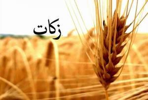 کردستانی‌ها ۸۱ میلیارد تومان زکات پرداخت کردند