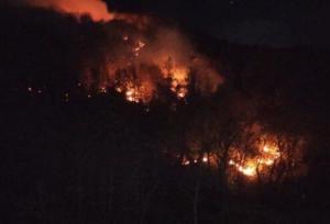 مهار کامل آتش‌سوزی در ارتفاعات لوندویل آستارا