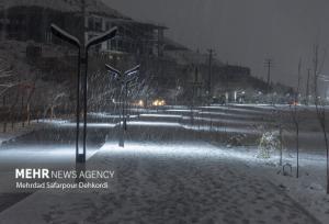 بارش برف در شیراز آغاز شد