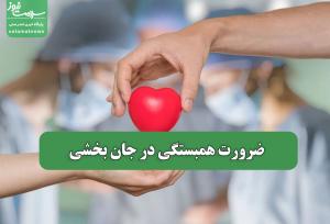 ضرورت همبستگی در جان بخشی