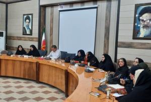 مشارکت زنان در امور اجتماعی و فرهنگی باعث تقویت جامعه سنتی می‌شود