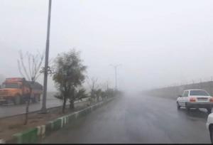 هشدار مه صبحگاهی در محورهای استان بوشهر