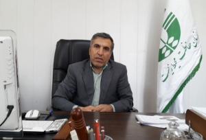 وجود یک‌هزار گونه گیاهی در استان ایلام