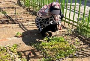 تجربه باغبانی در مزرعه خانوادگی باغ راه فدک