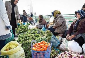 توسعه روستابازارها و انرژی‌های نو در دستور کار تعاون روستایی خراسان‌جنوبی است