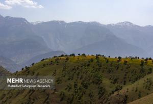 برگشت حاصلخیزی خاک زاگرس  به ۵۰ درصد درآمد نفتی نیاز دارد