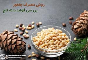 روش مصرف چلغوز + بررسی فواید دانه کاج