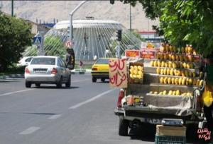 ۶۵۷ هزار وانت بار فروش میوه اعمال قانون شدند