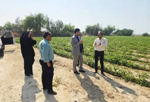 اعلام جرم دادستانی کنگان علیه ۳ نفر به علت تهدید بهداشت عمومی