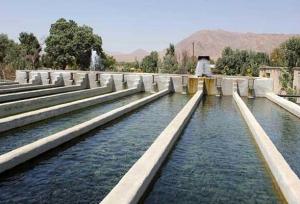 گوزلی: عرقیات گیاهی در پرورش ماهی روستای میاب مرند استفاده شد