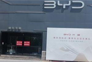 هولدینگ اصلی فروش BYD ورشکسته شد