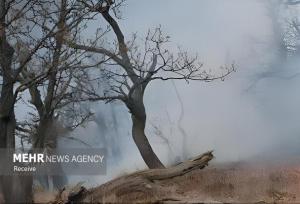 ساجدی نیا: عملیات هوایی اطفای حریق الیت اثرگذار بوده است