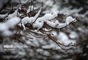 بارش پراکنده برف در خراسان رضوی