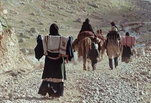 یاسمی:بهسازی ۱۳۰۰ کیلومتر از راه های قشلاقی ایلام آغاز شد