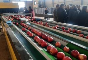 واحد سردخانه، سورتینگ و بسته بندی اشنویه افتتاح شد