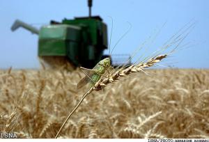 تخصیص اعتبارات ویژه برای کنترل عوامل خسارت‌زا محصولات کشاورزی در فارس