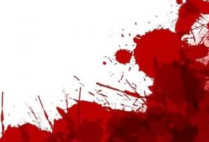 سرقت مرگبار لندکروز از شاگرد نمایشگاهی/ قاتل مسلح به دام پلیس افتاد