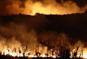 آتش، طبیعت و جرقه انسانی؛ چرخه تکرارشونده آتش‌سوزی جنگل‌ها از زاگرس تا ارسباران