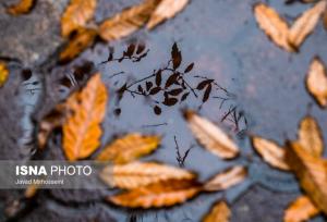 احتمال بارش خفیف و پراکنده در برخی نقاط فارس/ روند تغییرات دما افزایشی است