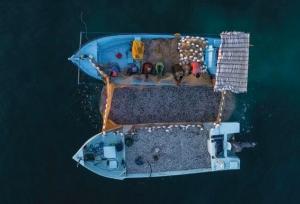 صید شب‌چراغی از مخرب‌ترین روش‌های صید در آب‌های جنوب کشور ‌