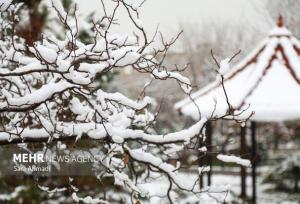 هوای مشهد پاک و برفی است