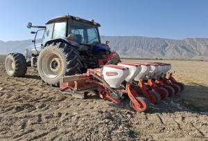 برآورد کشت ۶۰۰۰ هکتار چغندرقند پاییزه در کرمانشاه