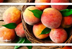 بهترین میوه برای سم زدایی بدن