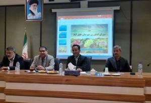 گرمابی: احداث شهرک صنایع غذایی؛ حلقه مفقوده توسعه کشاورزی خلیل‌آباد