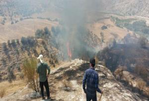 آتش سوزی روستای بی بی زلیخایی در کهگیلویه مهار شد