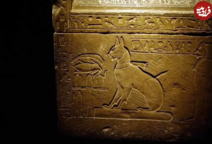 مشهورترین گربه‌‌های تاریخ که دنیا را شگفت‌زده کردند