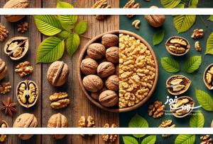 گردو یا بادام ارزش غذایی کدام بیشتر است؟