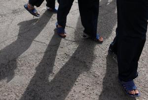 ۶ عضو باند کلاهبرداری خودرو دستگیر شدند