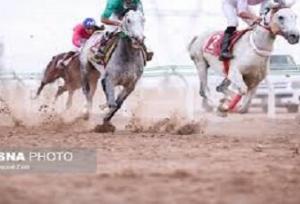 تهدید نژاد اصیل اسب سیستانی با ورود بی‌رویه اسب‌های غیر بومی