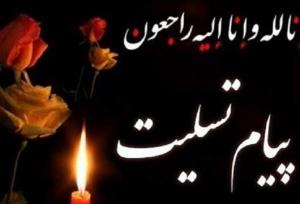 وزارت علوم شهادت دانشجوی دانشگاه پیام نور را تسلیت گفت